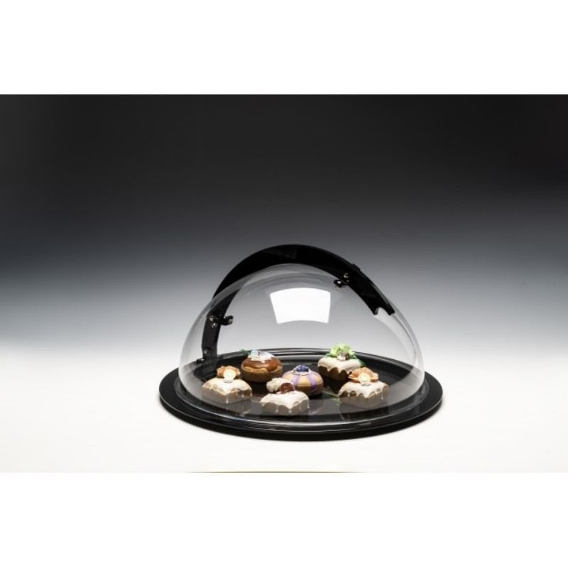 Zicco ZCP-857 Sabit Kapaklı Polikarbon Fanus 50x26 cm Siyah