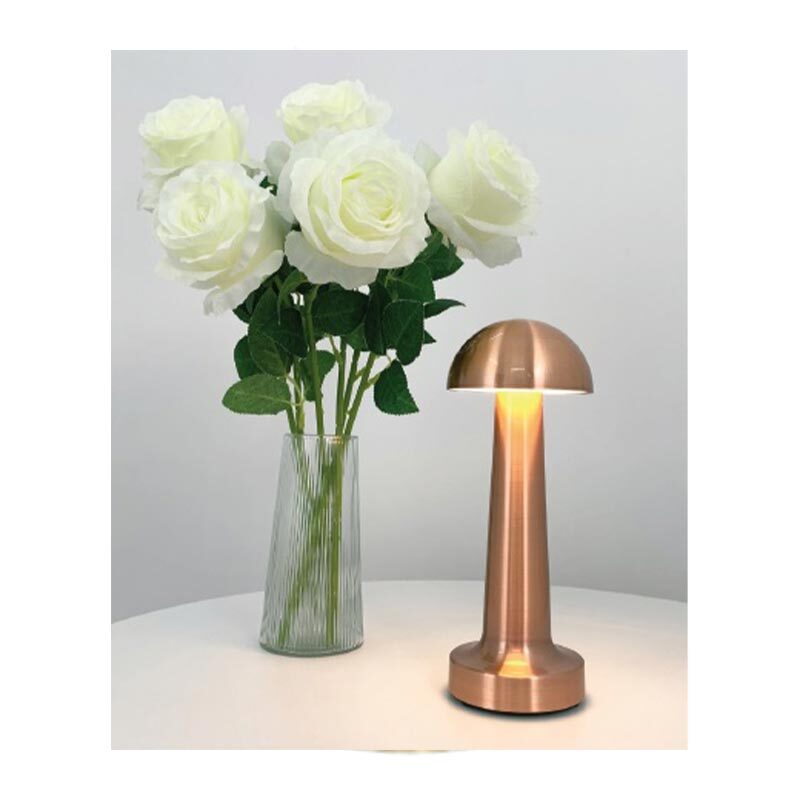 biradli-grv-811-sarj-edilebi-1024_2.jpg biradli-grv-811-sarj-edilebi-1024_2.jpg