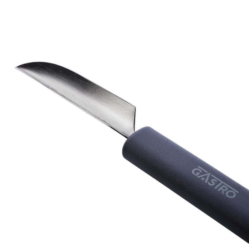 pirge-gastro-pmg-v-dekor-kas-3211_4.jpg pirge-gastro-pmg-v-dekor-kas-3211_4.jpg