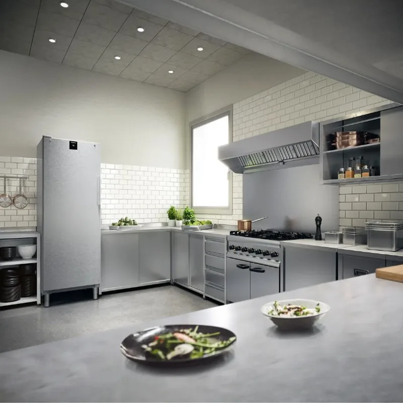 Liebherr FRFCvg 6501 Buzdolabı Dik Tip Tek Kapılı 479 L