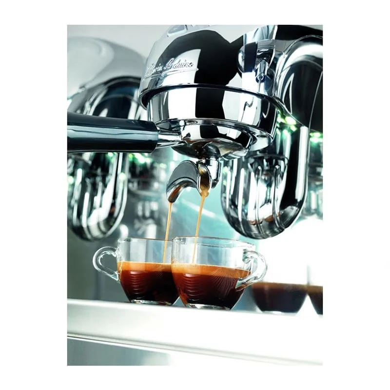 Victoria Arduino Adonis Style Espresso Kahve Makinesi 2 Gruplu Metalik