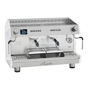 Bezzera ARCADIA DE PID Tam Otomatik Espresso Kahve Makinesi, Yüksek Şase 2 Gruplu