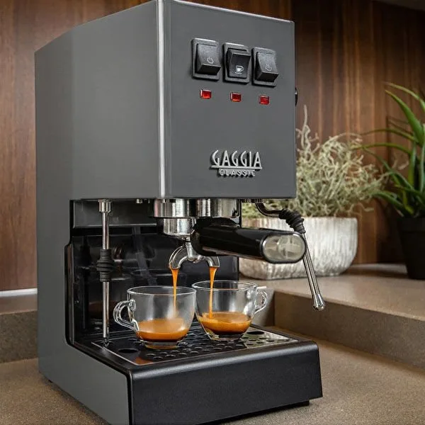 Gaggia Rı9480/16 New Classıc Pro 2019 Gri  Espresso Makinesi