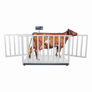 Tem Büyükbaş Canlı Hayvan Baskülü 1500 kg 100x200cm