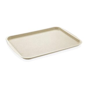 Gastrolley Kırçıllı ABS Servis Tepsisi, 37x53 cm