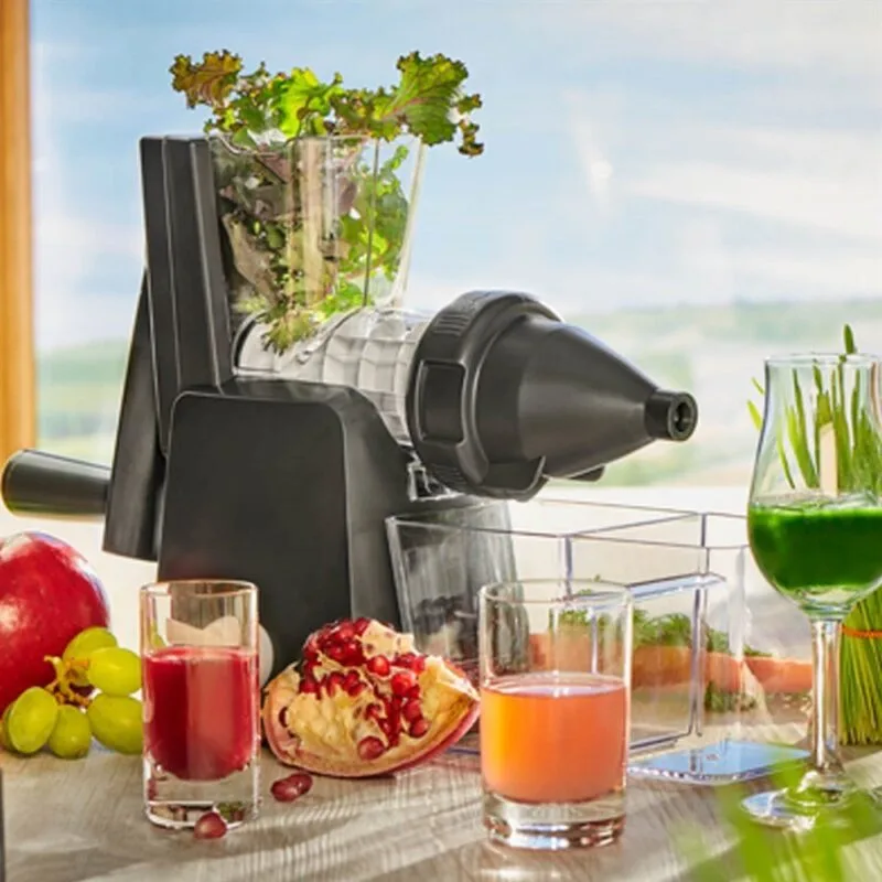Lurch Slow Juicer
