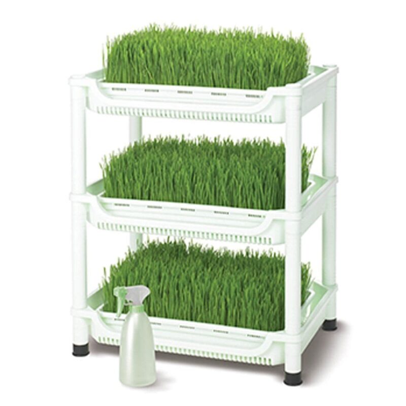 tribest-sproutman-s-topraksiz-13877_1-1.jpg tribest-sproutman-s-topraksiz-13877_1-1.jpg