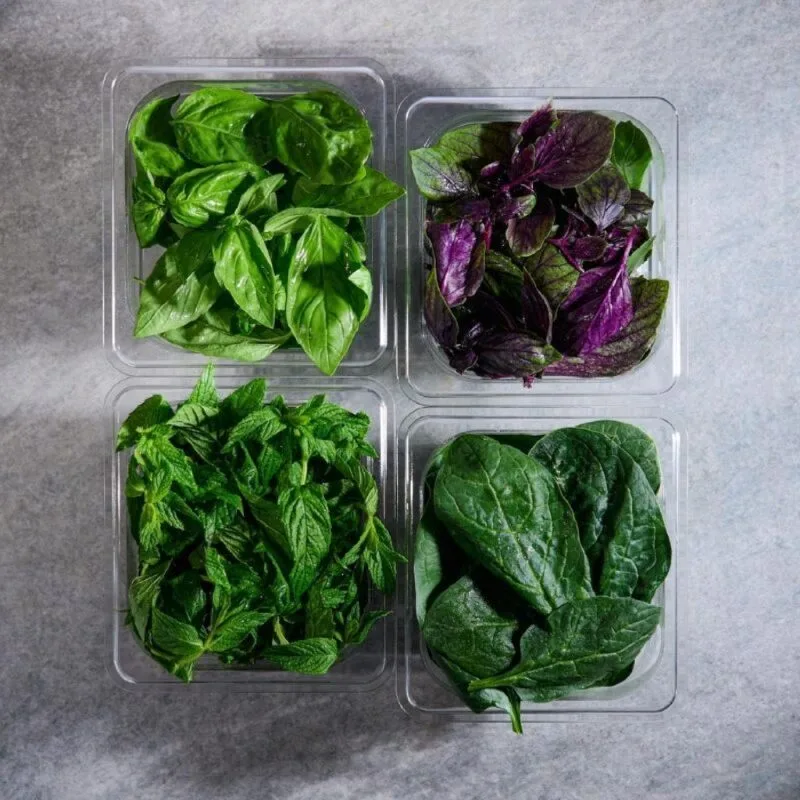 Bora Plastik Gastronom Polikarbon Küvet GN 1/6-150 2 L