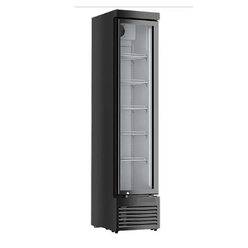 Coldera CL 220 SD Tek Kapılı Slim Şişe Soğutucu 157 Litre
