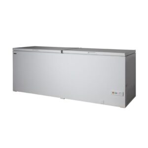 Coldera CL 600 DSL Yatay Tip Derin Dondurucu Blok Kapaklı 607 L