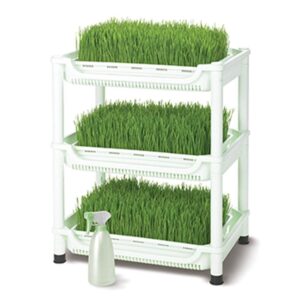 Tribest Sproutman'S Topraksız Buğday Çimi Yetiştiricisi